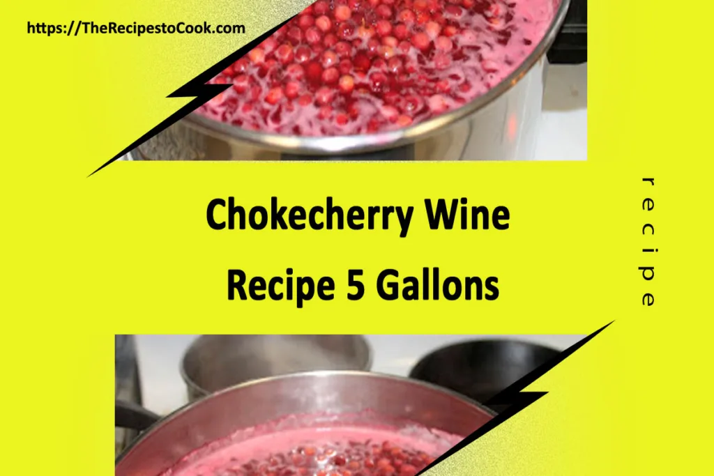 Choke cherry wine recipe