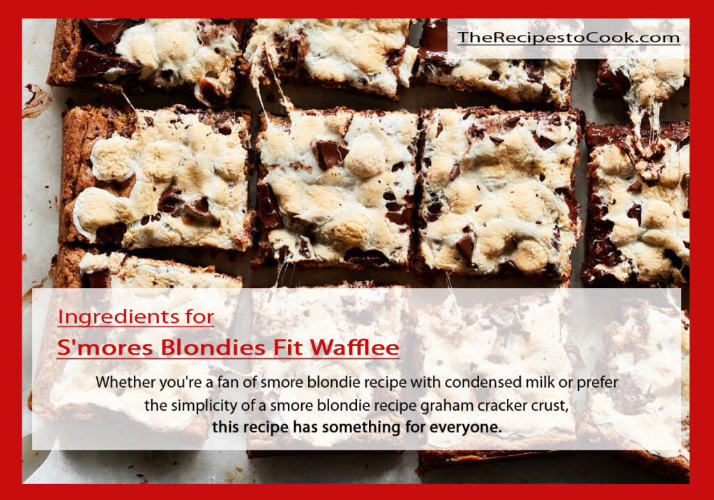 S'mores blondies fit waffle