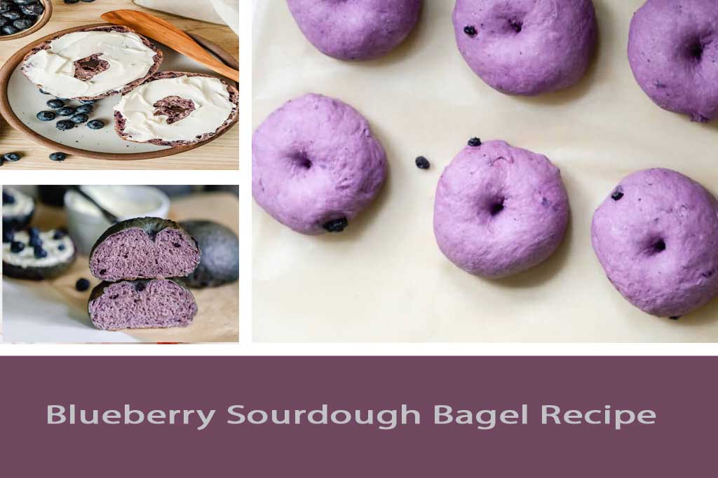 Blueberry Sourdough Bagel Recipe