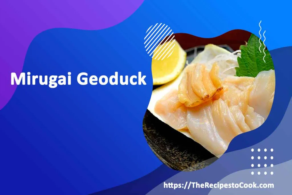 mirugai geoduck clam