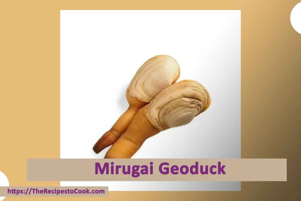 recipe mirugai geoduck