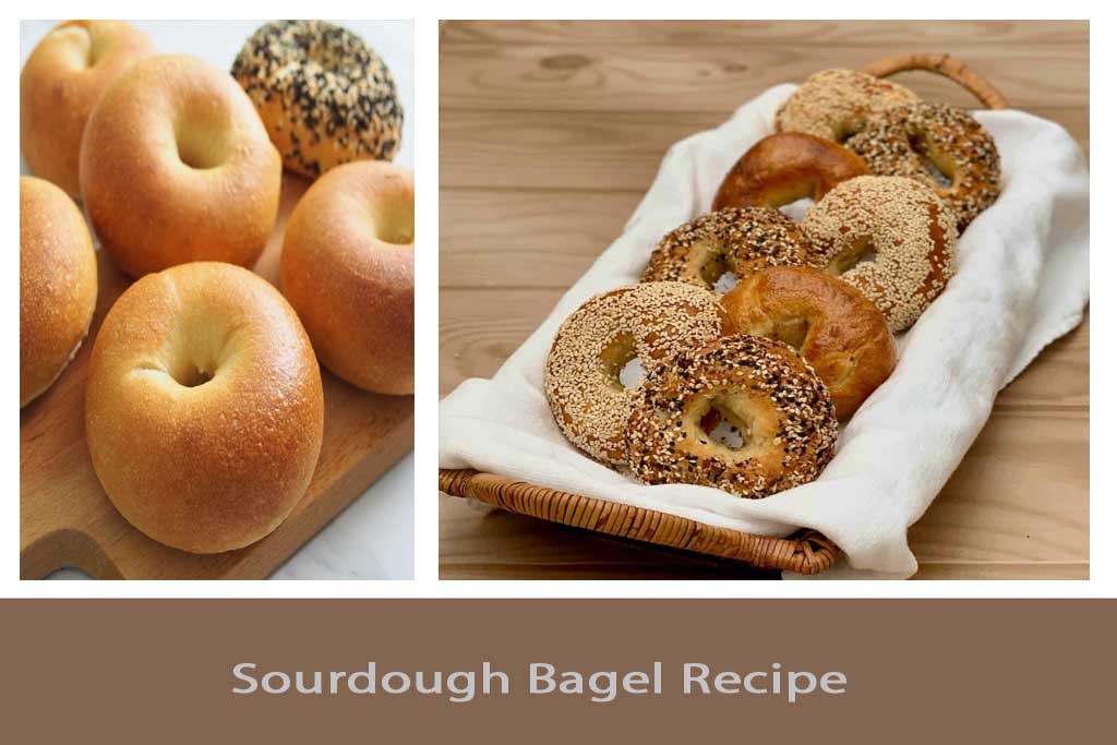 Sourdough Bagel Recipe